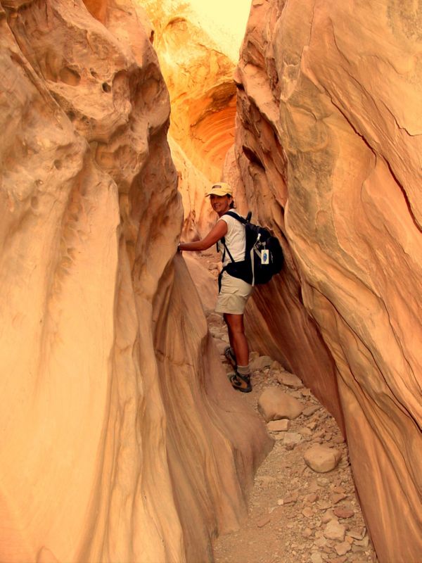 04160302LittleWildHorse (1031)